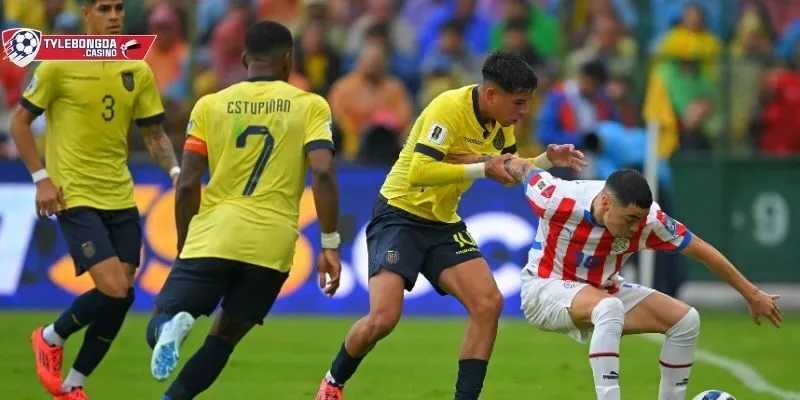 Paraguay vs Ecuador: Thống kê đối đầu và cập nhật BXH mới nhất
