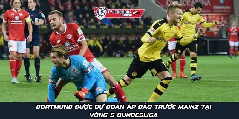Dortmund được dự đoán áp đảo trước Mainz tại vòng 5 Bundesliga