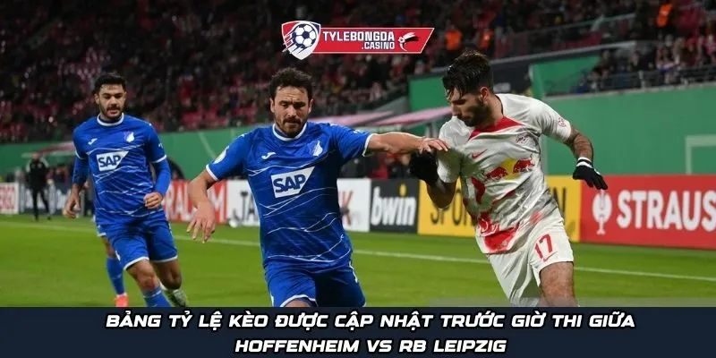 Bảng tỷ lệ kèo được cập nhật trước giờ thi giữa Hoffenheim vs RB Leipzig